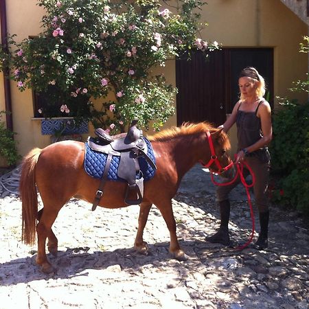 Agriturismo Ridocco Corleone Bagian luar foto