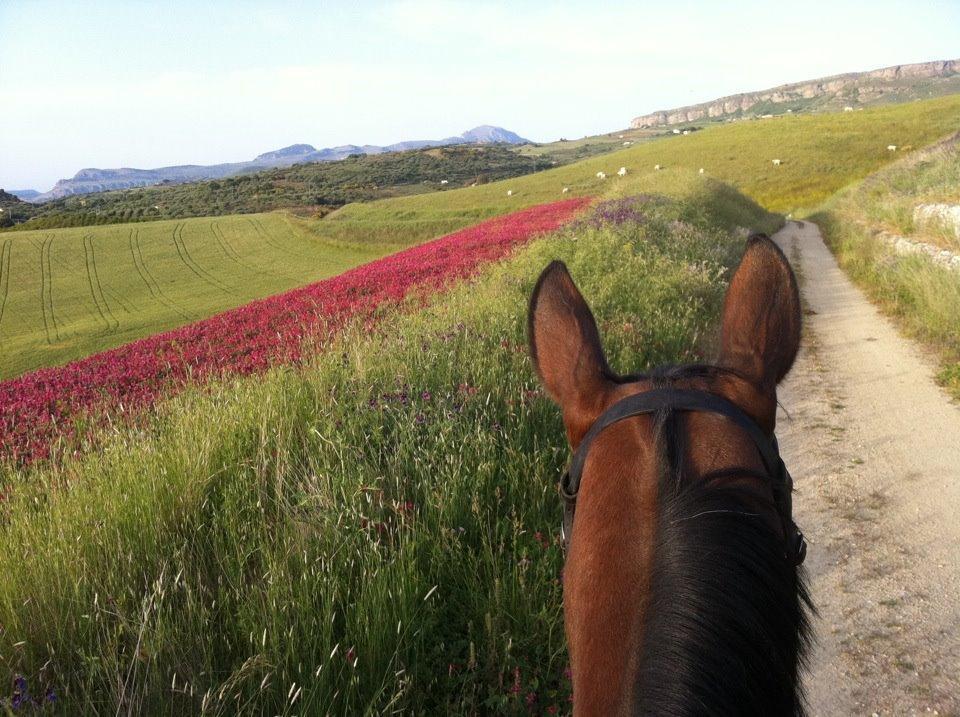 Agriturismo Ridocco Corleone Bagian luar foto