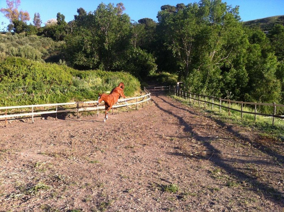 Agriturismo Ridocco Corleone Bagian luar foto
