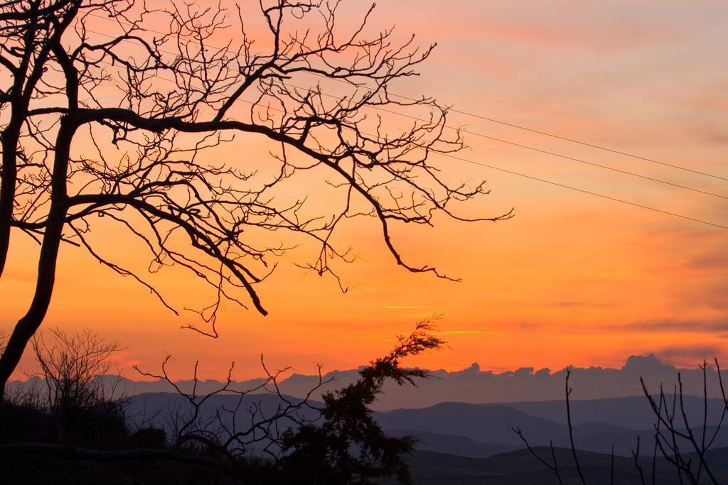 Agriturismo Ridocco Corleone Bagian luar foto