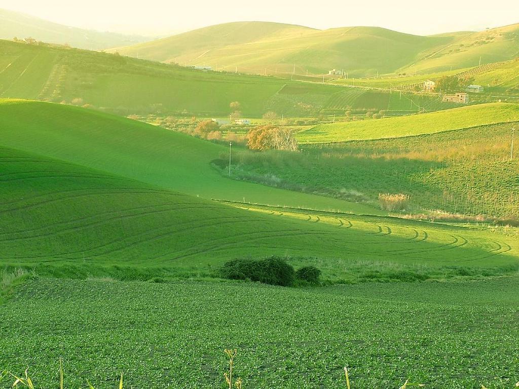 Agriturismo Ridocco Corleone Bagian luar foto